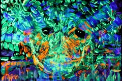 Vesp-TheBear-LowRes